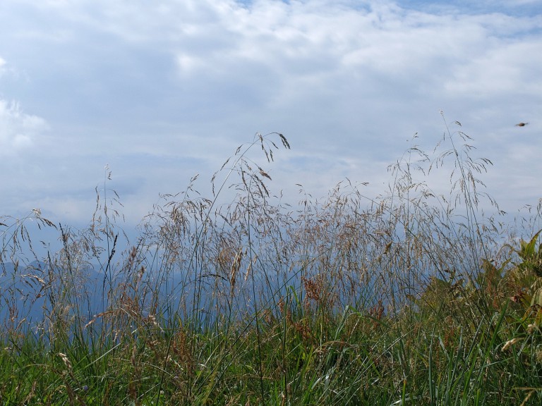 Großer Höhenweg Brauneck