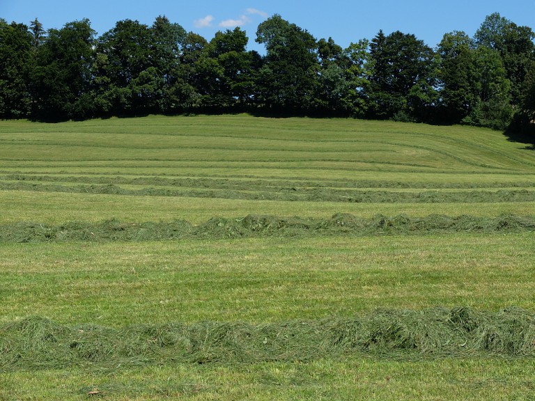 bei Wackersberg