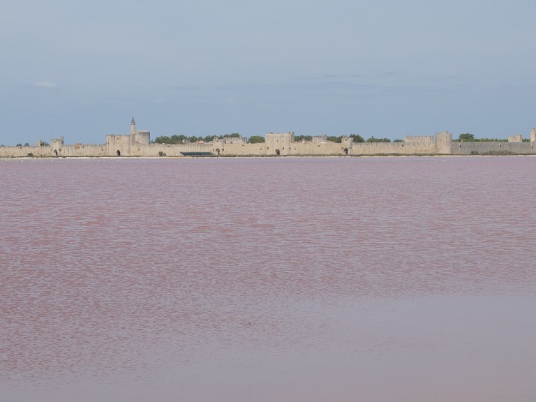 Blick auf Aigues-Mortes