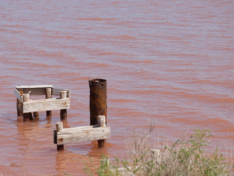 Saline bei Aigues-Mortes