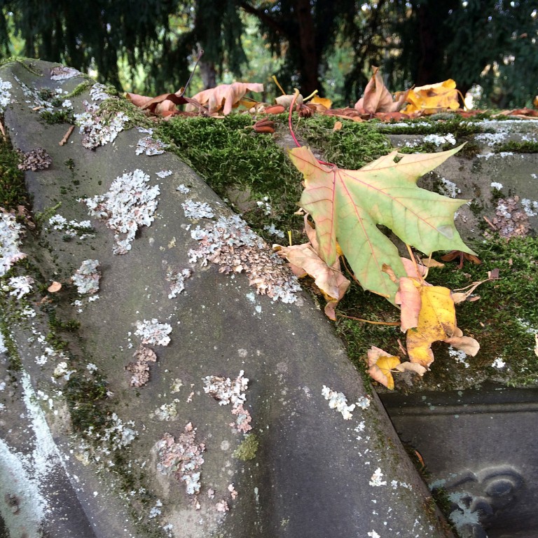 Alter Friedhof Bingen