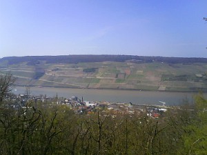 Rhein 18.04.2008