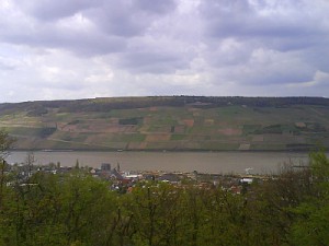 Rhein 25.04.2008