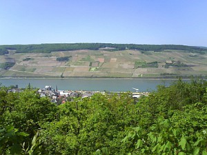 Rhein 09.05.2008