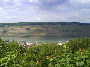 Rhein 23.05.2008