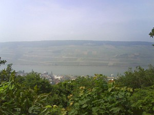 Rhein 30.05.2008