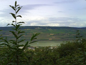 Rhein 22.08.2008