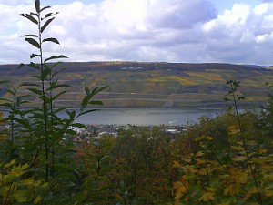 Rhein 17.10.2008