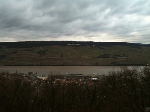 Rhein 14.01.2011