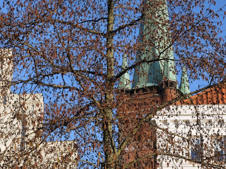 Lübeck Petrikirche / Obertrave