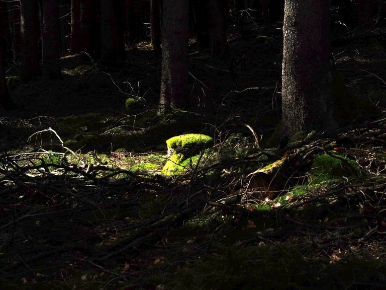 Spessart bei Mespelbrunn