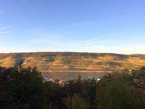 Rhein 31.10.16