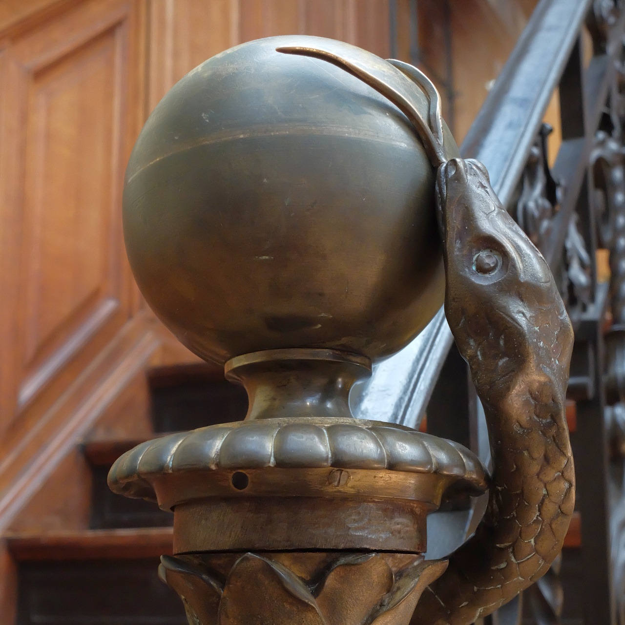 Musée d’Histoire de la médecine